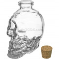 Bouteille d'eau bouteille en verre liquide avec verre du crâne